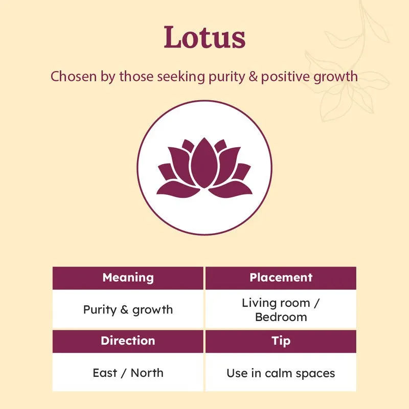 Luminous Lotus Canvas Wall Painting With Frame - White media 4
