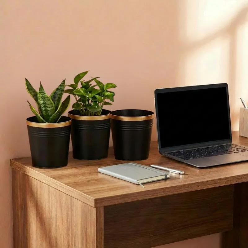 Leafora Iron Planter (Black) - Set Of Three media 6