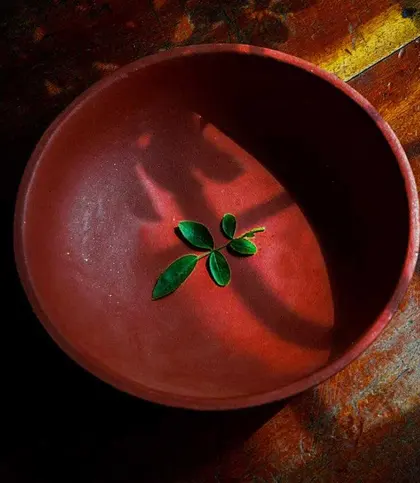 Terracotta