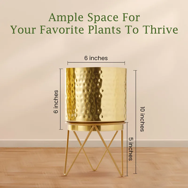 Vida Elle Golden Planter with Stand media 3