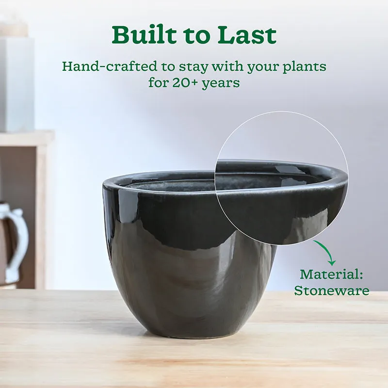 Ugaoo Cantata Ceramic Planter - Black media 3