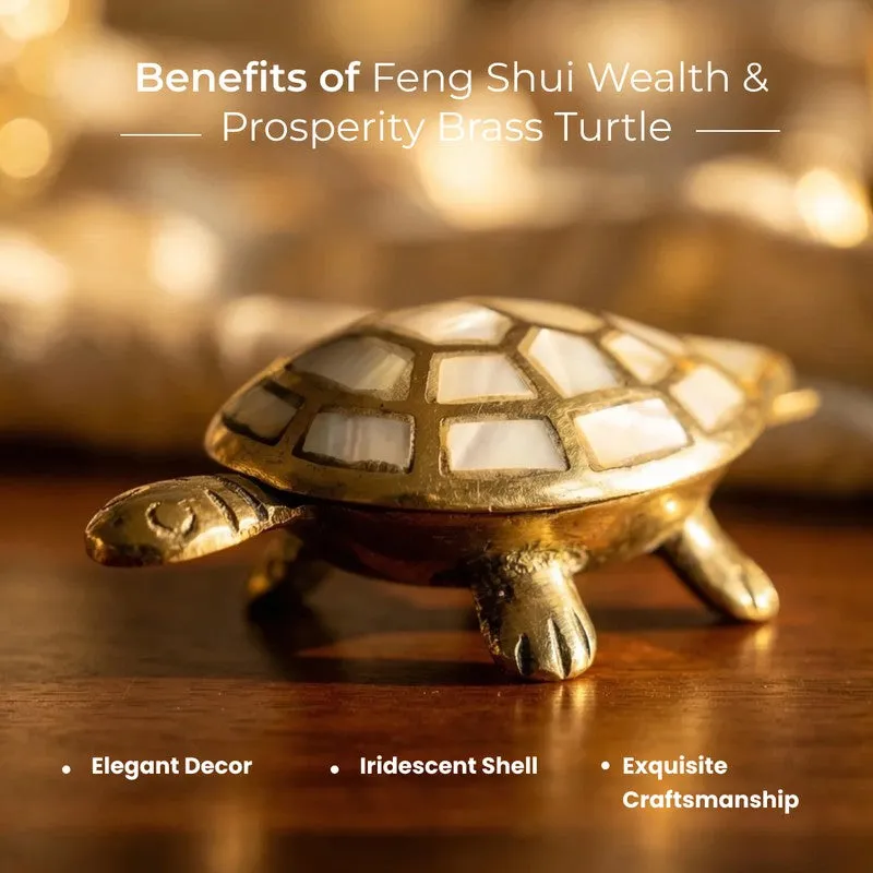 Kurma Harmony Brass Turtle media 8