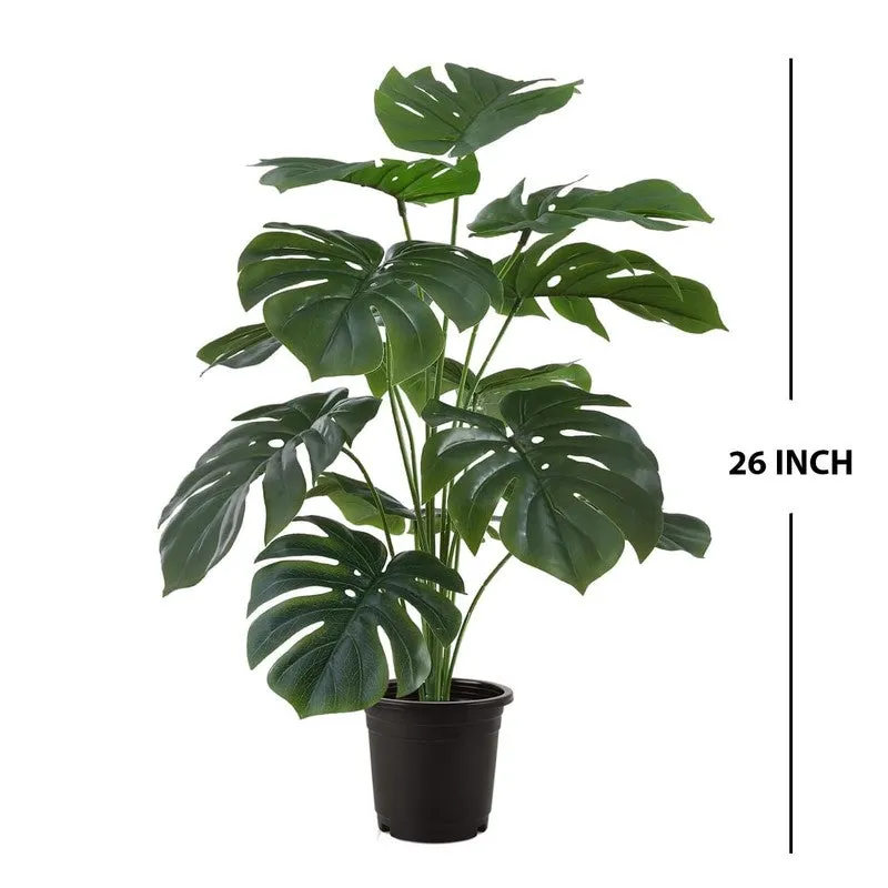 NeoBotanica Artificial Monstera Plant - 2.1 Feet media 9