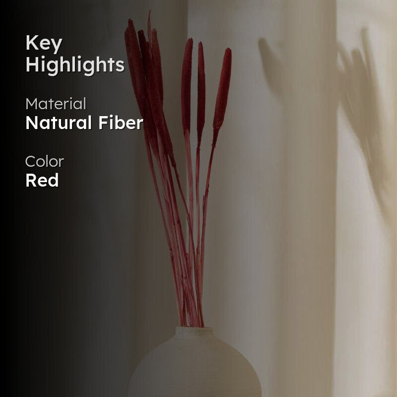 Dried Bajra Stems (2.46 ft) - Red media 2