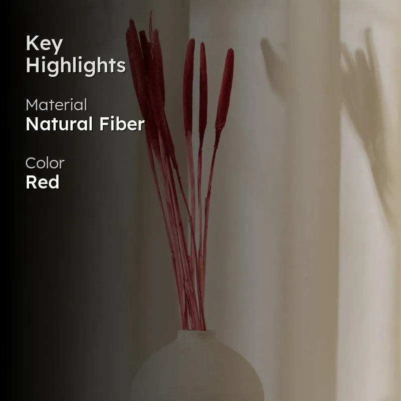 Dried Bajra Stems (2.46 ft) - Red media 2