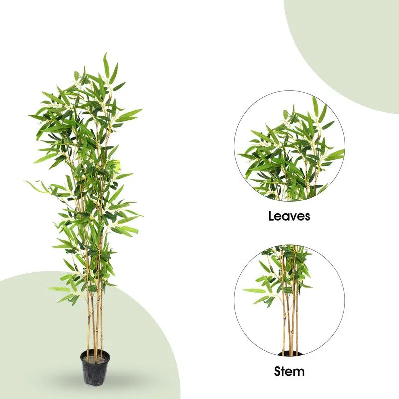 Petaluxe Artificial Bamboo Plant With Black Plastic Pot - 5.1 Feet media 5