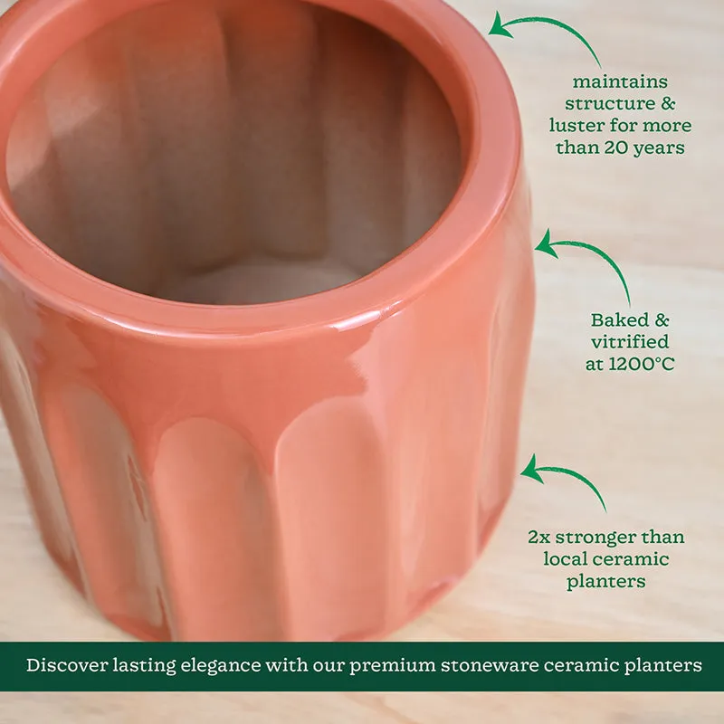 Ugaoo Straits Ceramic Planter - Coral media 5