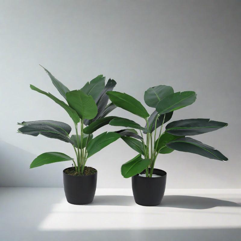 Faux Palm Bonsai With Black Plastic Pot (55 cms) - Set Of Two media 4