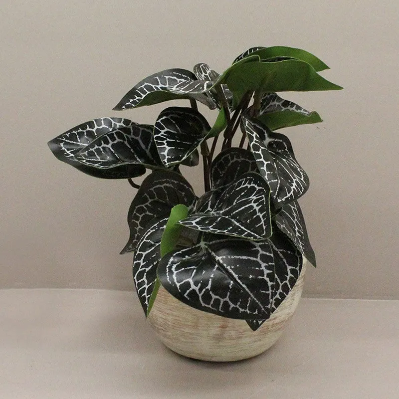 RealTouch Artificial Foliage Plant With Black Fiber Pot - 0.6 Feet media 4