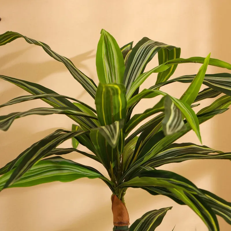 Artificial Variegated Dracaena Plant With Black Plastic Pot 5 ft media 7