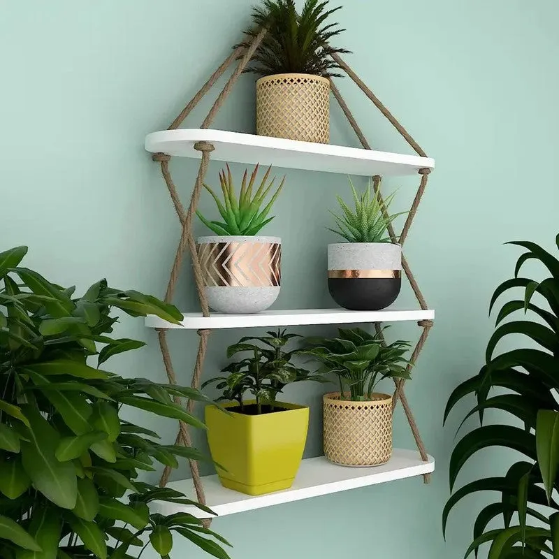 Tint Trail (MDF,Wood) Shelves media 3