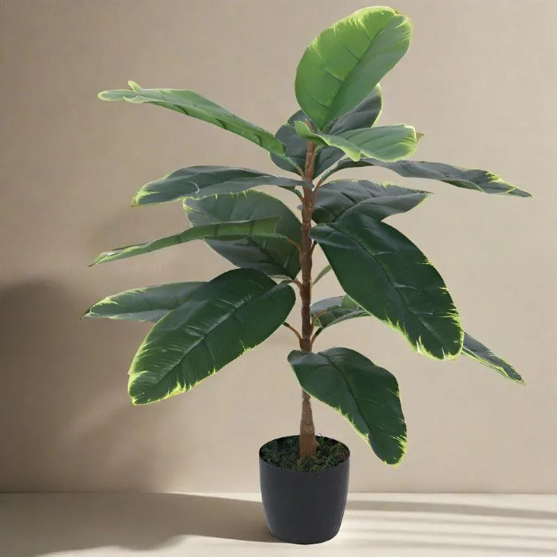 Faux Yellow Rubber Plant With Black Plastic Pot - 2.46 ft media 4
