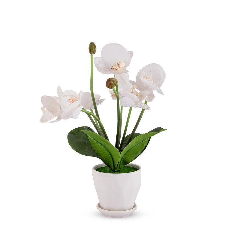 AarviDecor Elegant Bloom Silk Artificial Plants media 3