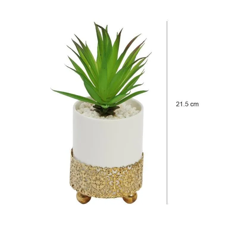 Faux Agave In Decorative Pot - 21.5 cms media 5