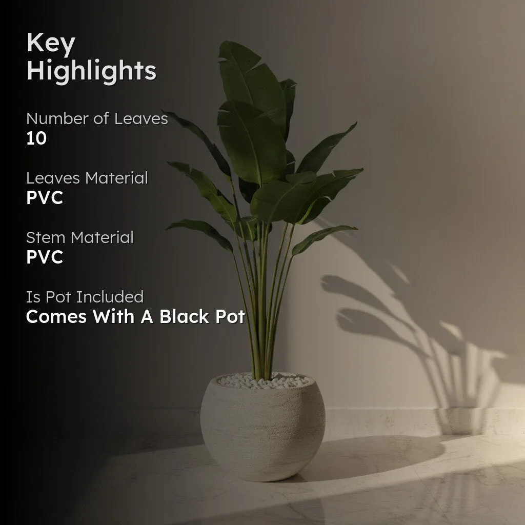 Paradise Artificial Plant With Black Fiber Pot - 5.2 Feet media 2