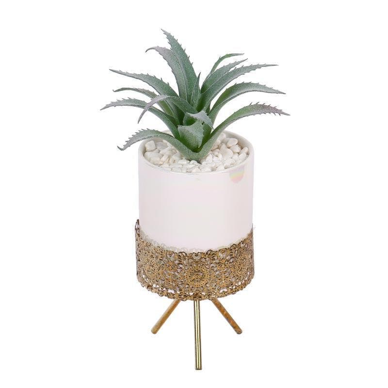 Faux Agave In Ceramic Pot With Tripod - 25 cms media 4