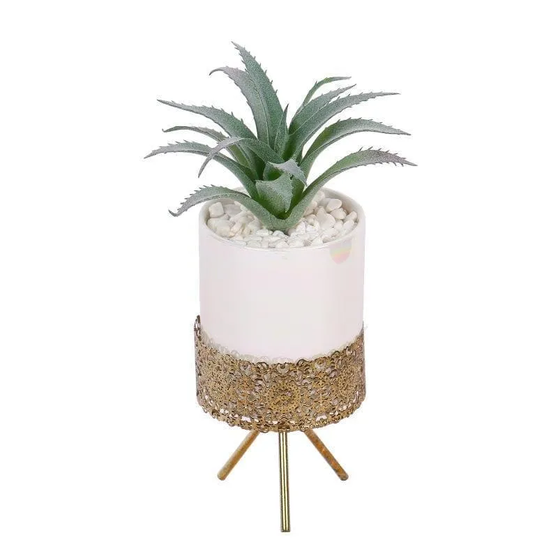 Faux Agave In Ceramic Pot With Tripod - 25 cms media 4