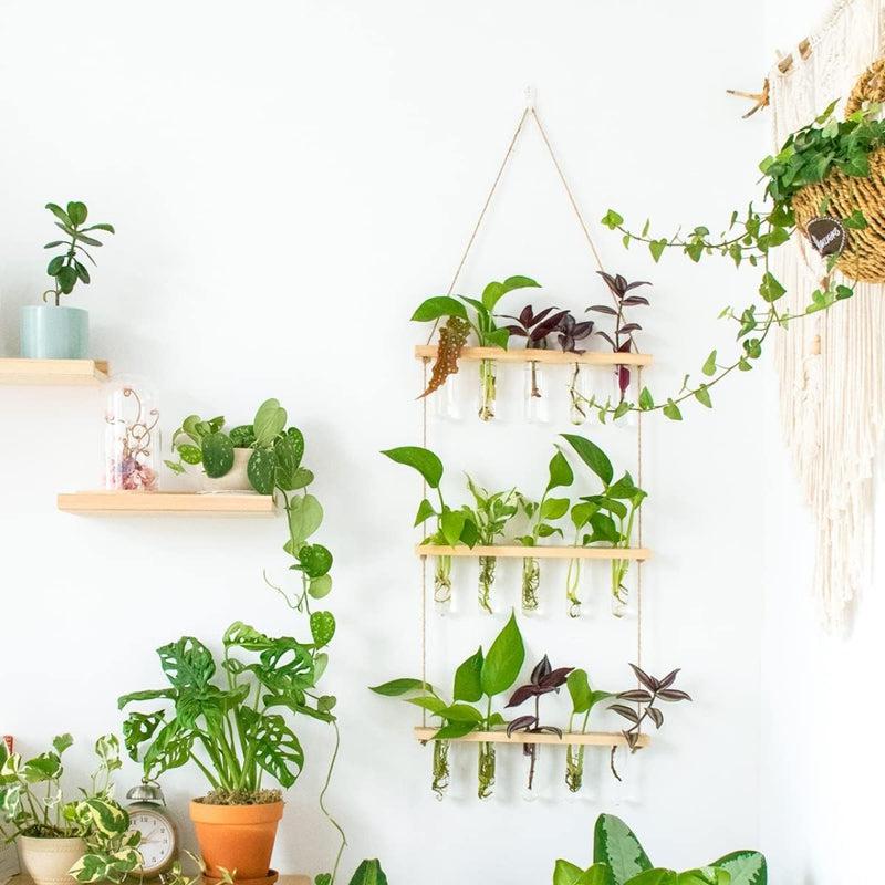 Arana Hanging Test Tube Planter media 7