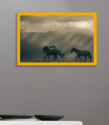 Cotton Canvas