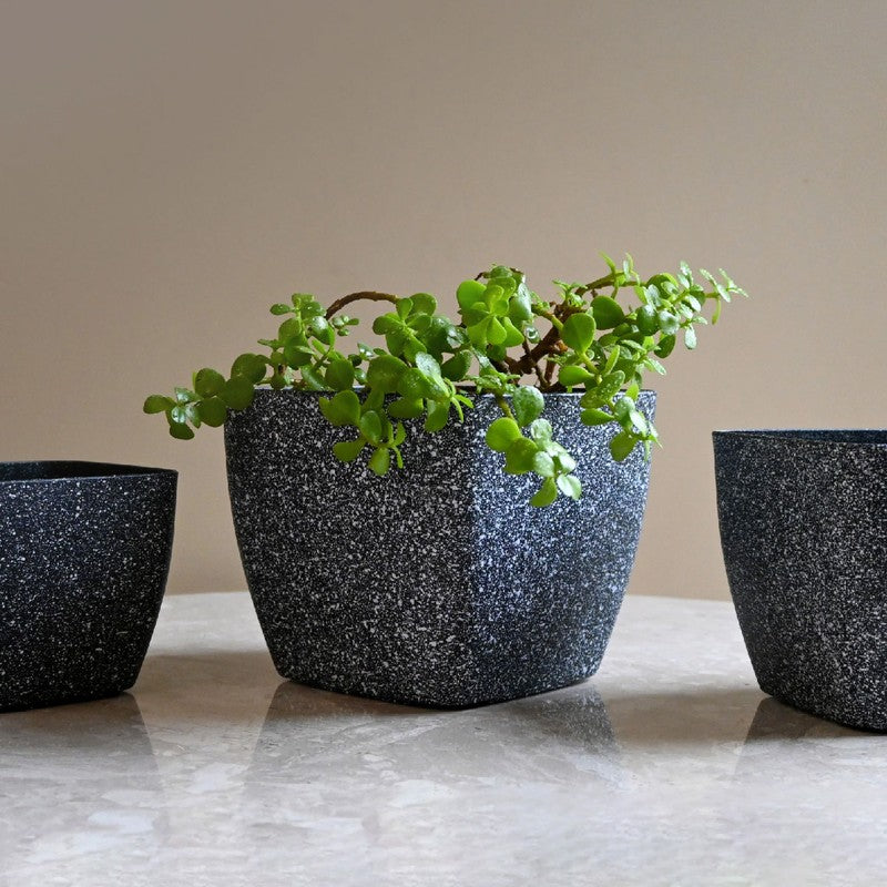 Monvia Garden Planter - Set Of Five media 8