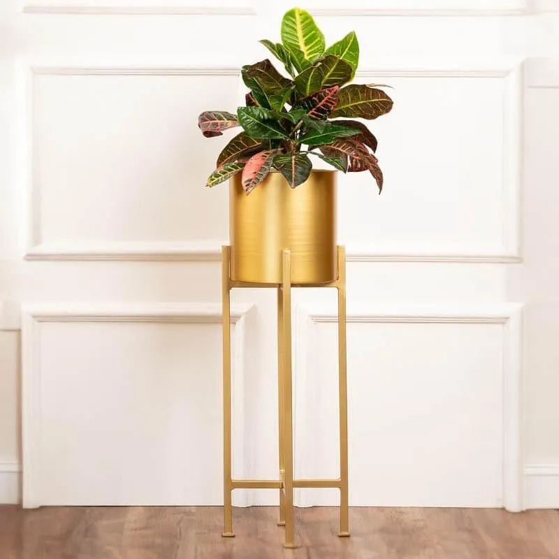Cyra Golden Metal Planters - Set Of Three media 5