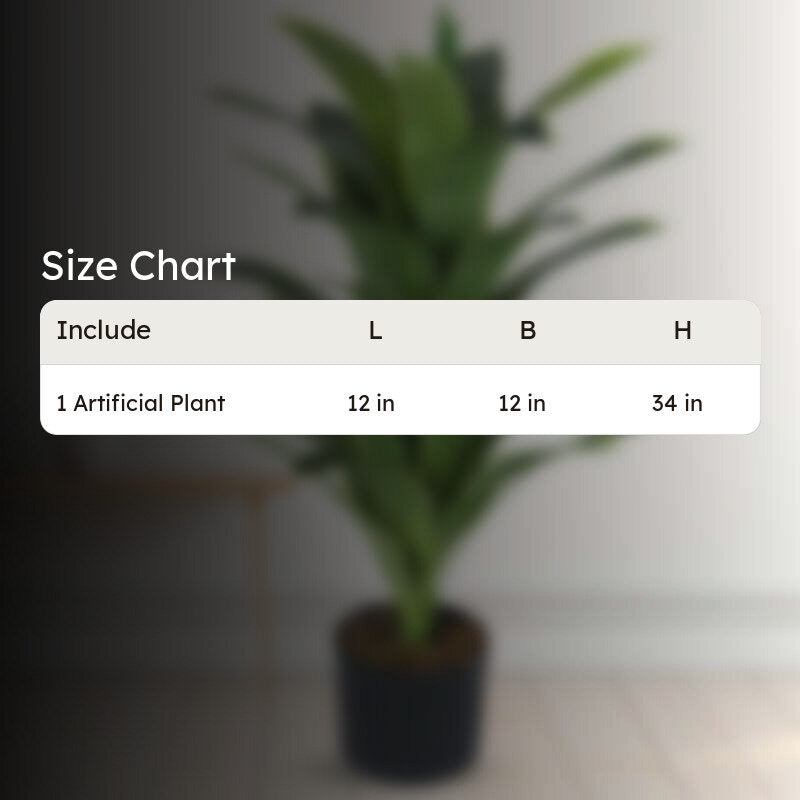 Faux Lush Dracaena Reflexa Plant With Black Plastic Pot -  2.8 Feet media 7