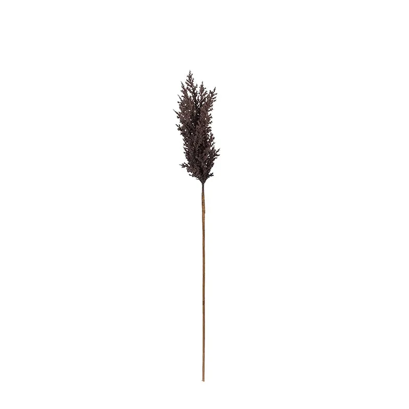 Pampera Artificial Pampas Without Vase (Brown) - 3 Feet media 6