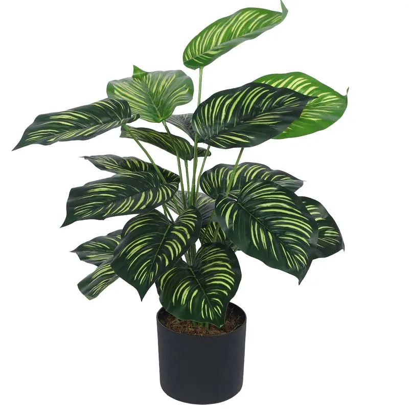 Faux Lush Peperomia Plant With Black Plastic Pot - 2.3 Feet media 4