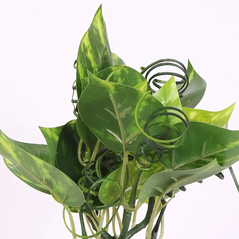 Lucky Artificial Money Plants With Pot - Dark Green media 4