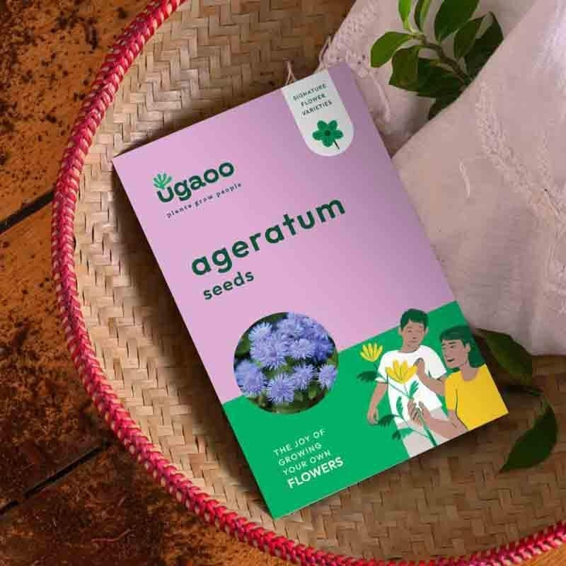 Ugaoo Ageratum Seeds (200 Seeds) media 4