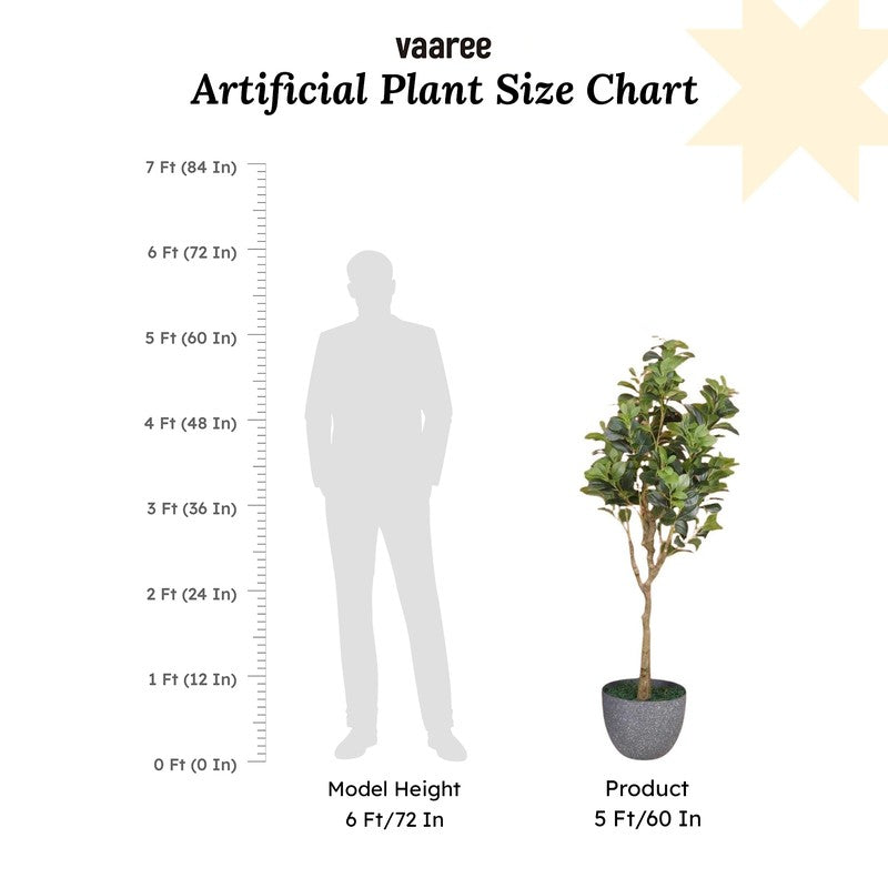 Artificial Peperomia Plant Without Pot - 4.9 Feet media 7