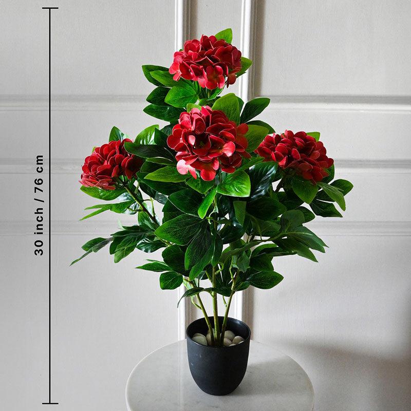Faux Everlasting Hydrangea Plant With Black Plastic Pot (Red & Green) - 76 cm (2.5 ft) media 5