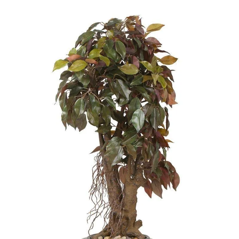 Faux Twisted Ficus Bonsai (2.03 ft) - Green & Red media 3