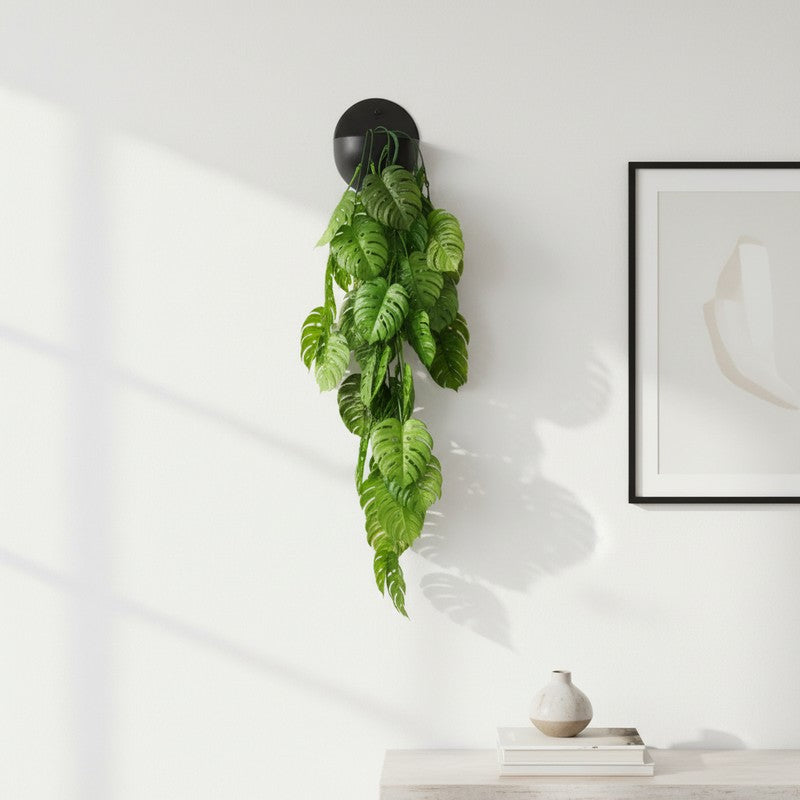 Floravue Artificial Monstera Creeper - Set of Three