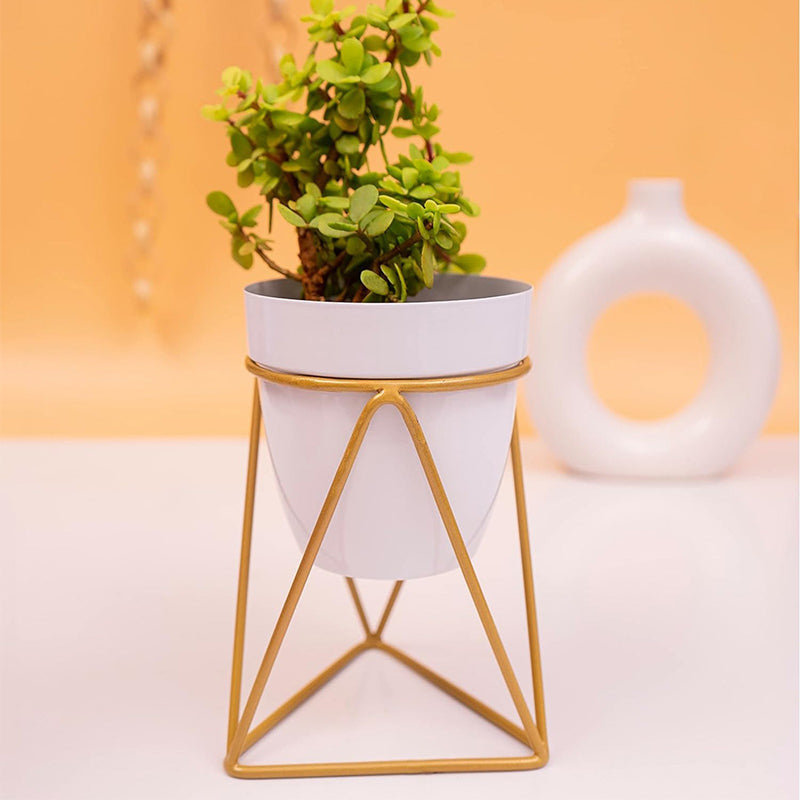 Crosa Planter With Stand media 2