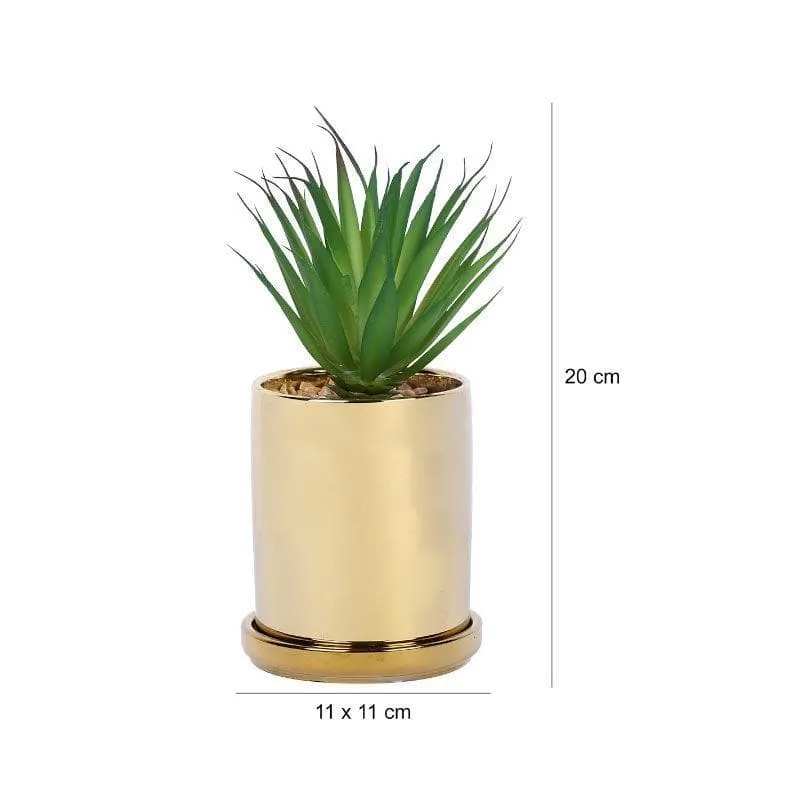 Faux Aloe Vera In Pot With Coaster (20 cms) - Big media 4