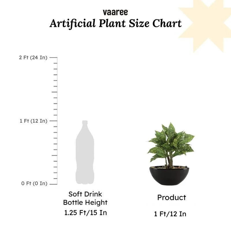 Faux Codiaeum Bonsai In Bowl Pot (29 cms) - Green media 6