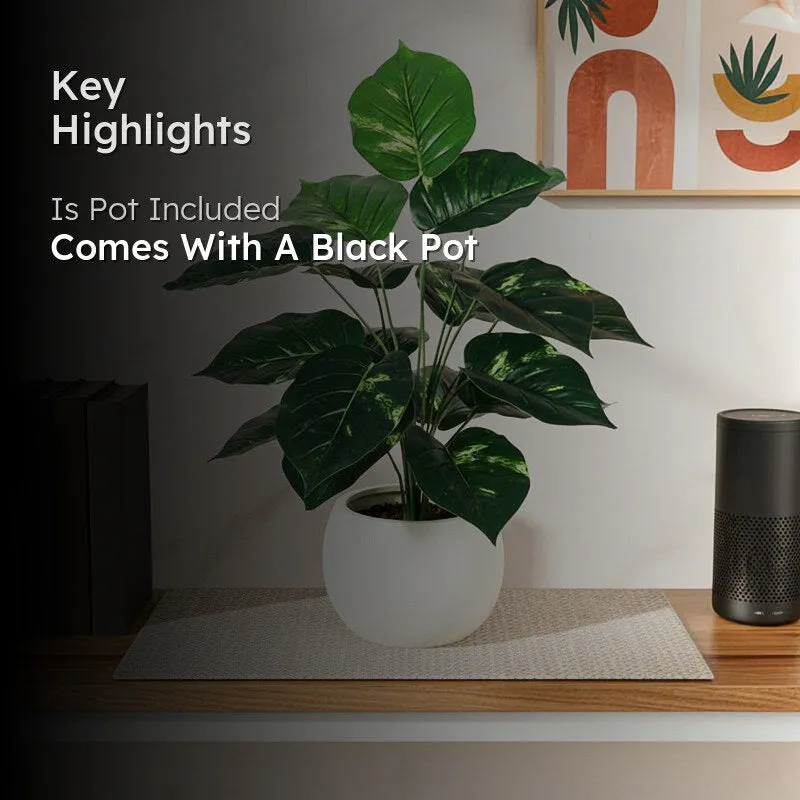 Faux pothos plant in a white pot styled on a shelf