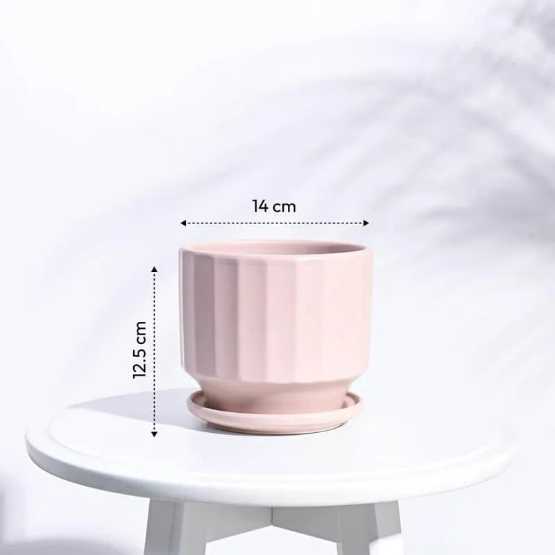 Lexie Ceramic Planter - Pink media 6