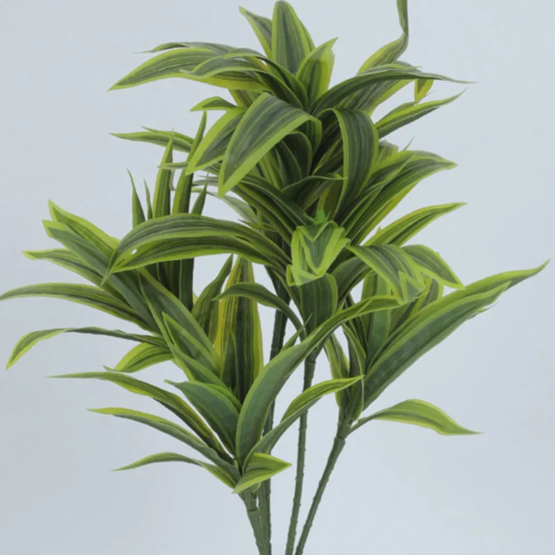 Edeth Artificial Dracaena Plant With Black Plastic Pot - 1.3 Feet media 4