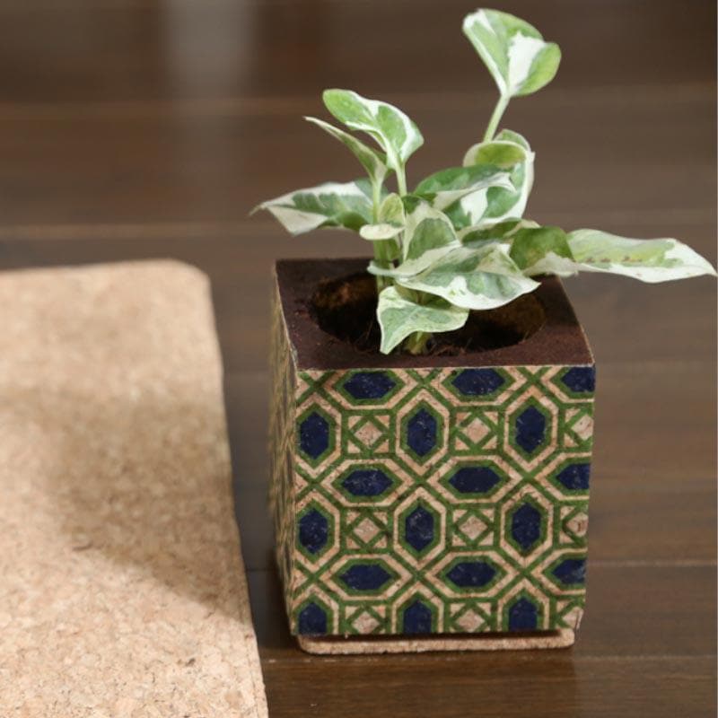Whimsical Woodland Planter media 5