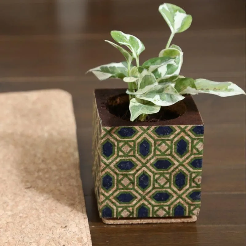 Whimsical Woodland Planter media 5