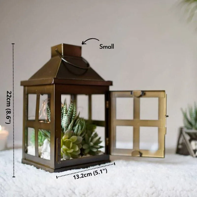 Miracle Maeve Lantern (Chocolate) - Small media 5