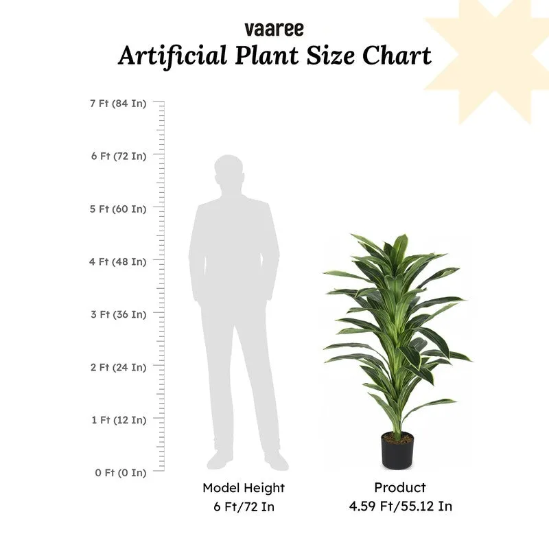 Everlyn Artificial Dracaena Plant With Black Fiber Pot - 4.6 Feet media 10