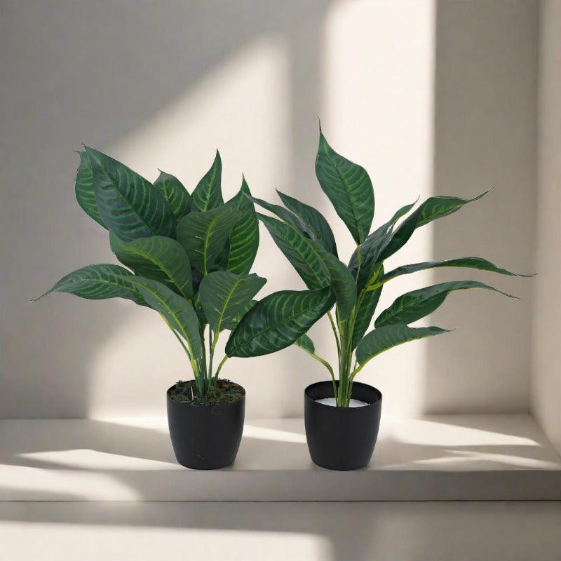 Faux Green Croton Plant With Black Plastic Pot (50 cms) - Set Of Two media 3