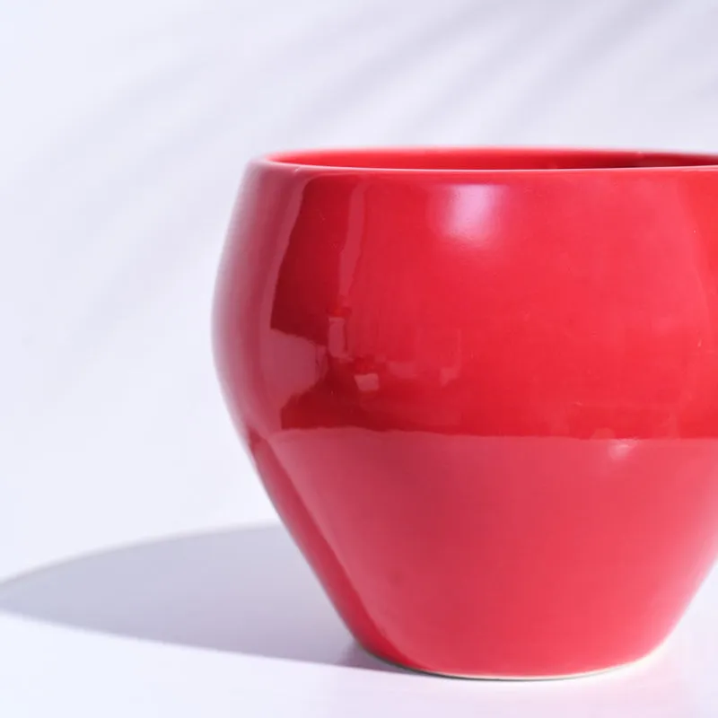 Ugaoo Apple Red Ceramic Pot- Medium media 4