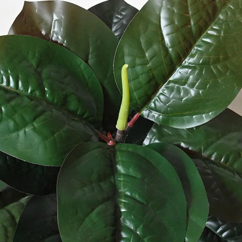 Artificial Everlasting Fiddle Fig Plant With Pot - 71 cm (2.3 ft) media 3