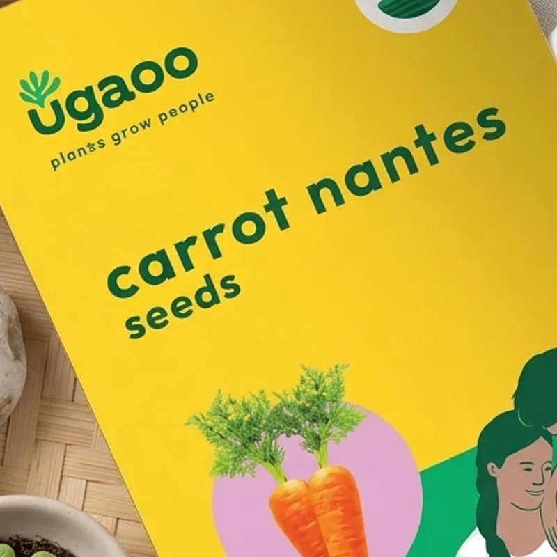 Ugaoo Carrot Nantes Seeds media 3