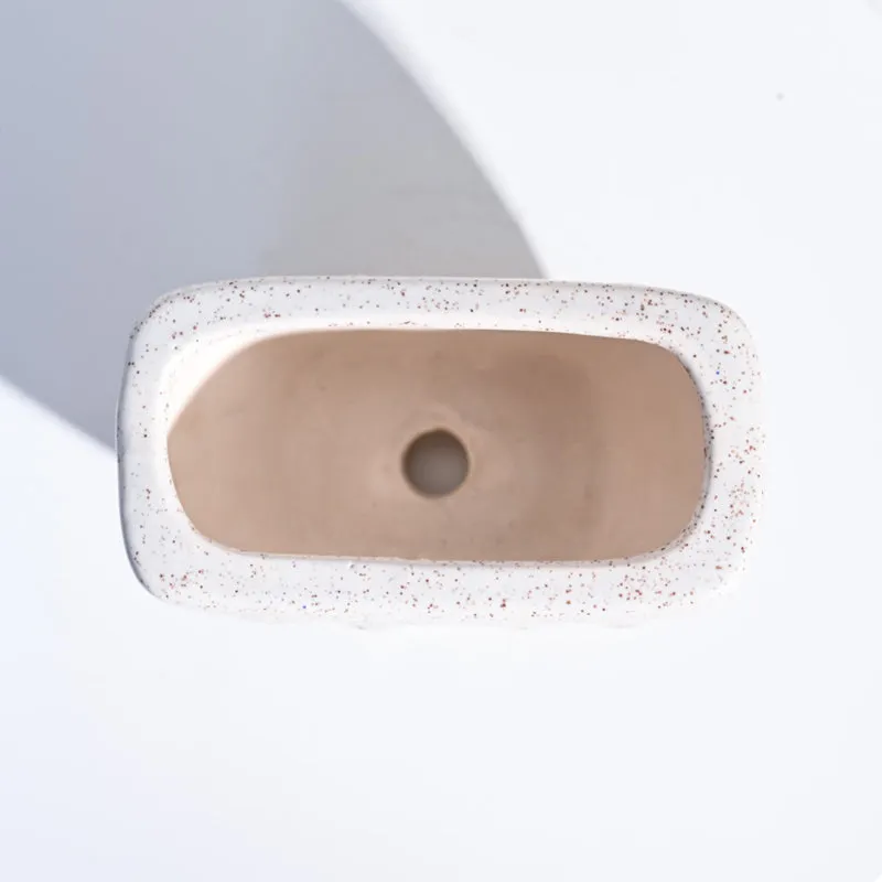 Ugaoo Watermelon Matte Finish White Ceramic Planter media 5