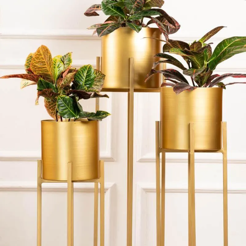 Cyra Golden Metal Planters - Set Of Three media 1